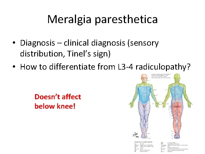 Meralgia paresthetica • Diagnosis – clinical diagnosis (sensory distribution, Tinel’s sign) • How to Meralgia paresthetica • Diagnosis – clinical diagnosis (sensory distribution, Tinel’s sign) • How to