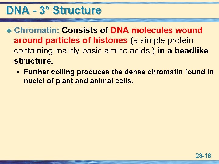 DNA - 3° Structure u Chromatin: Consists of DNA molecules wound around particles of