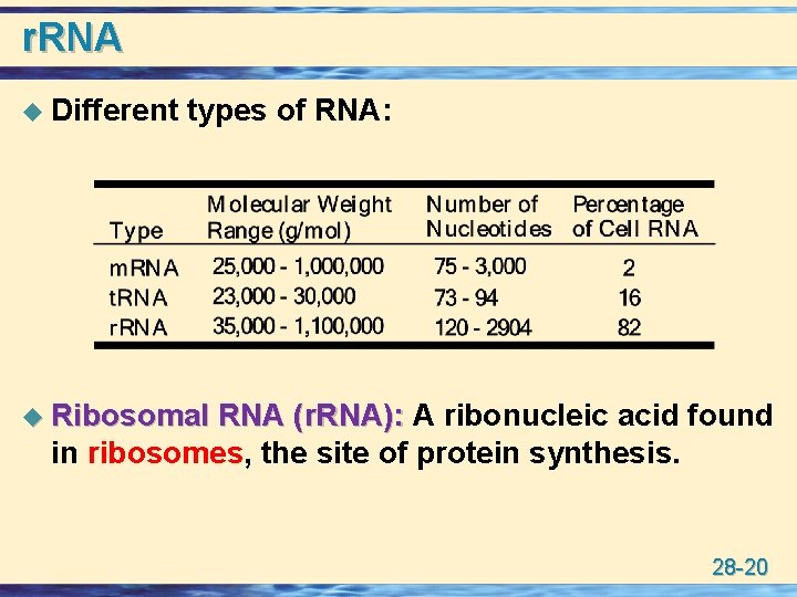 r. RNA u Different types of RNA: u Ribosomal RNA (r. RNA): A ribonucleic