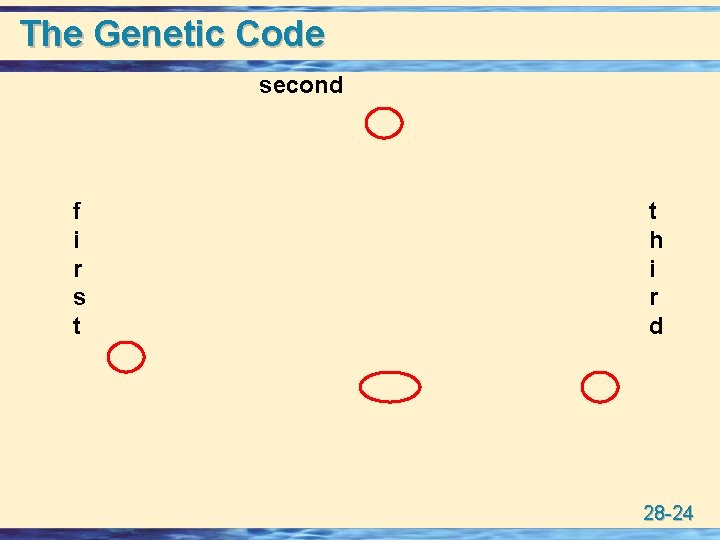 The Genetic Code second f i r s t t h i r d