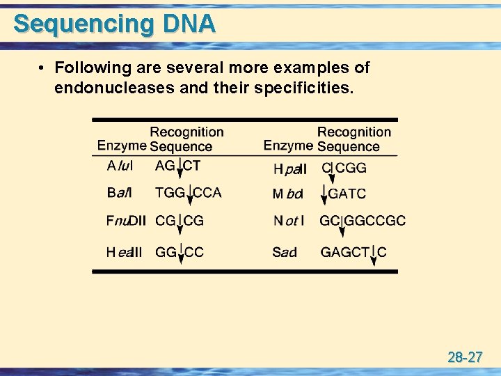 Sequencing DNA • Following are several more examples of endonucleases and their specificities. 28