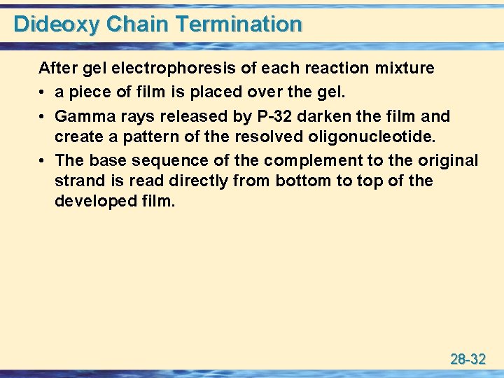 Dideoxy Chain Termination After gel electrophoresis of each reaction mixture • a piece of