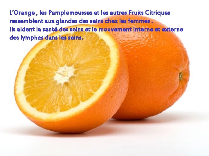 L’Orange , les Pamplemousses et les autres Fruits Citriques ressemblent aux glandes seins chez