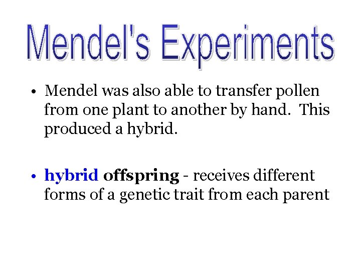  • Mendel was also able to transfer pollen from one plant to another