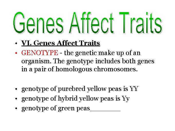  • VI. Genes Affect Traits • GENOTYPE - the genetic make up of