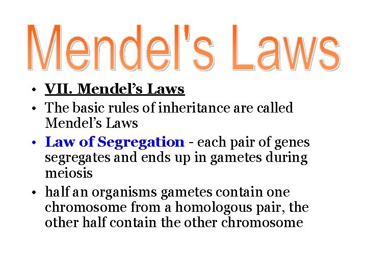  • VII. Mendel’s Laws • The basic rules of inheritance are called Mendel’s