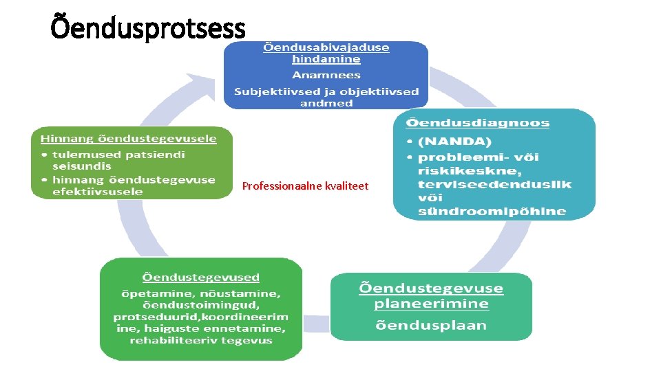 Õendusprotsess Professionaalne kvaliteet 