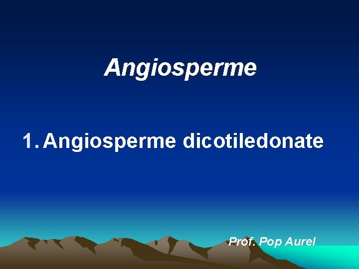 Angiosperme 1. Angiosperme dicotiledonate Prof. Pop Aurel 