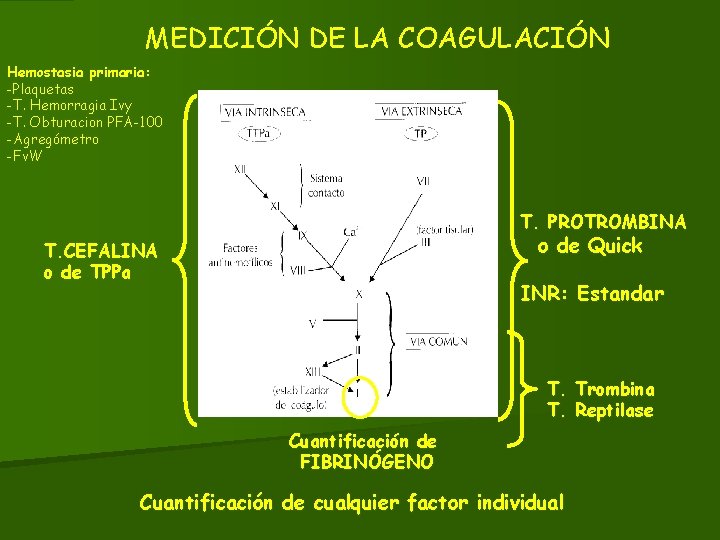 MEDICIÓN DE LA COAGULACIÓN Hemostasia primaria: -Plaquetas -T. Hemorragia Ivy -T. Obturacion PFA-100 -Agregómetro