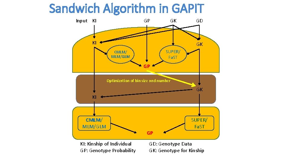 Sandwich Algorithm in GAPIT Input KI GP GK KI GD GK SUPER/ Fa. ST