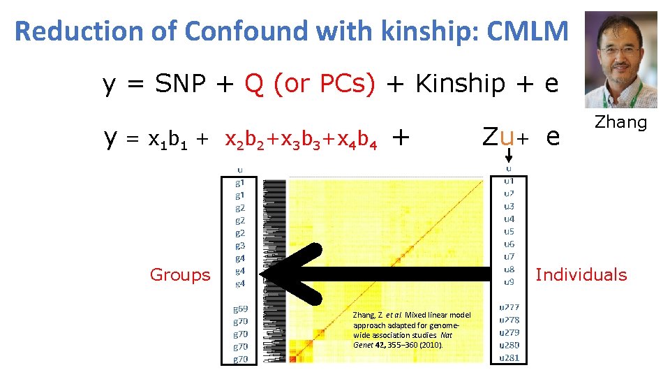 Reduction of Confound with kinship: CMLM y = SNP + Q (or PCs) +