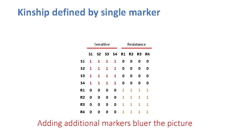 Kinship defined by single marker Sensitive Resistance S 1 S 2 S 3 S