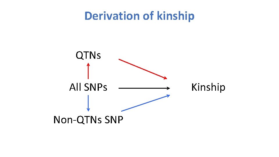 Derivation of kinship QTNs All SNPs Non-QTNs SNP Kinship 