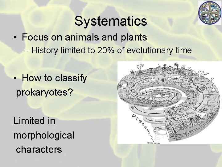 Systematics • Focus on animals and plants – History limited to 20% of evolutionary