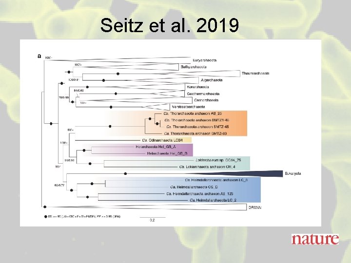 Seitz et al. 2019 