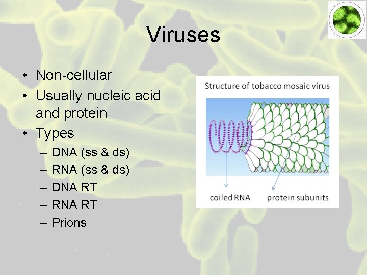 Viruses • Non-cellular • Usually nucleic acid and protein • Types – – –