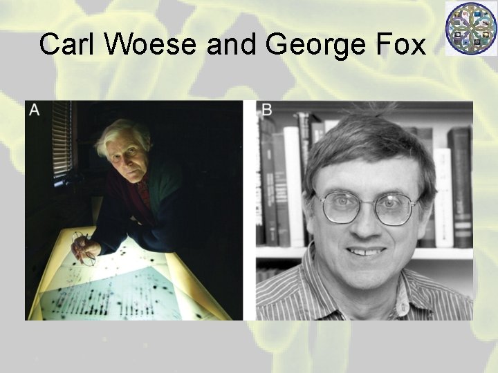 Carl Woese and George Fox 