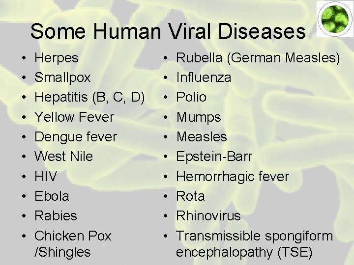 Some Human Viral Diseases • • • Herpes Smallpox Hepatitis (B, C, D) Yellow