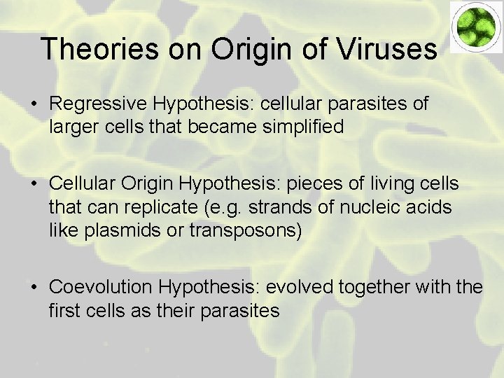 Theories on Origin of Viruses • Regressive Hypothesis: cellular parasites of larger cells that