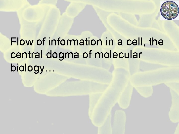 Flow of information in a cell, the central dogma of molecular biology… 