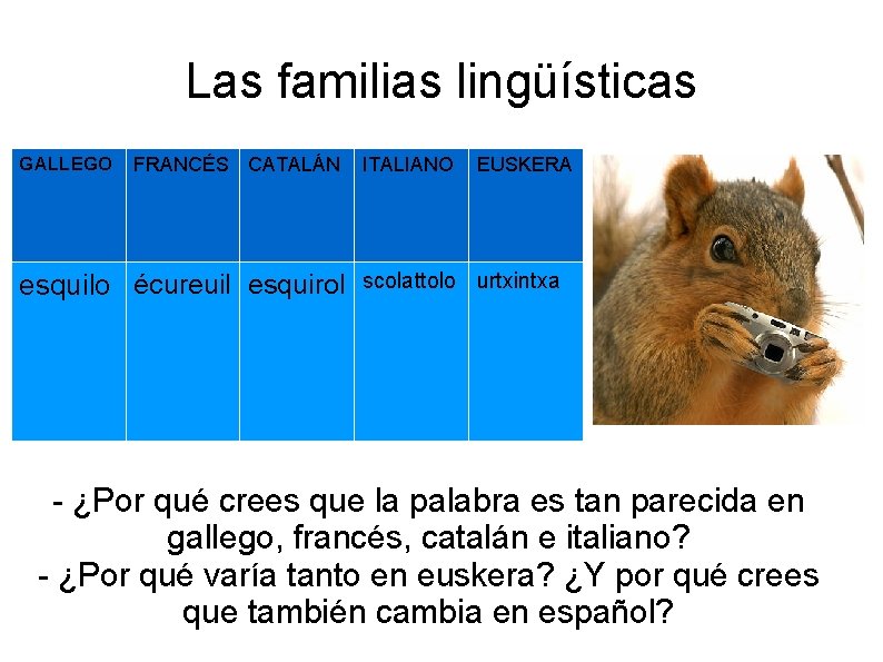 Las familias lingüísticas GALLEGO FRANCÉS CATALÁN esquilo écureuil esquirol ITALIANO EUSKERA scolattolo urtxintxa -