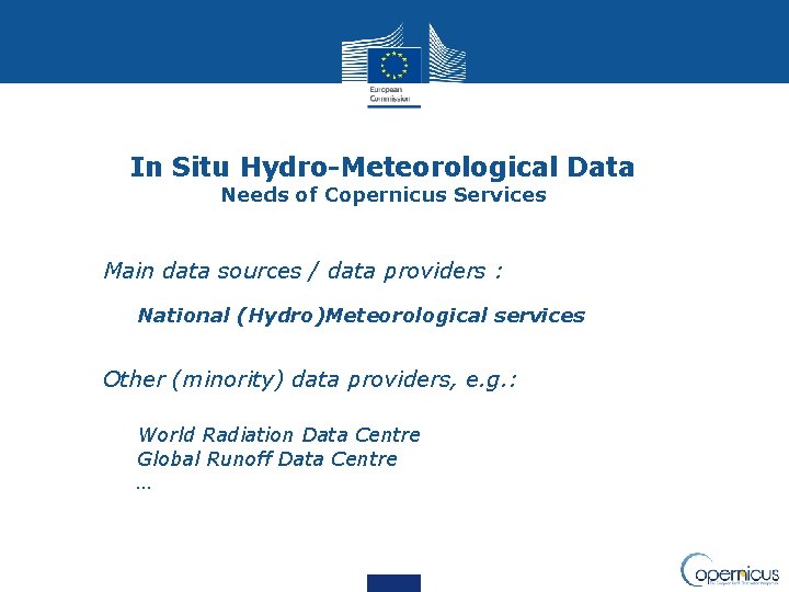 In Situ Hydro-Meteorological Data Needs of Copernicus Services • Main data sources / data