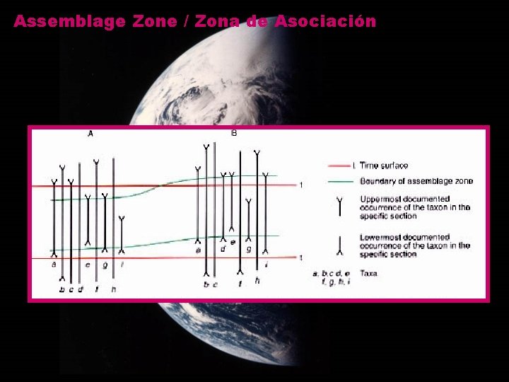 Assemblage Zone / Zona de Asociación 