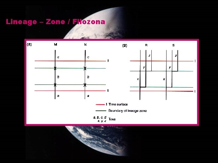 Lineage – Zone / Filozona 
