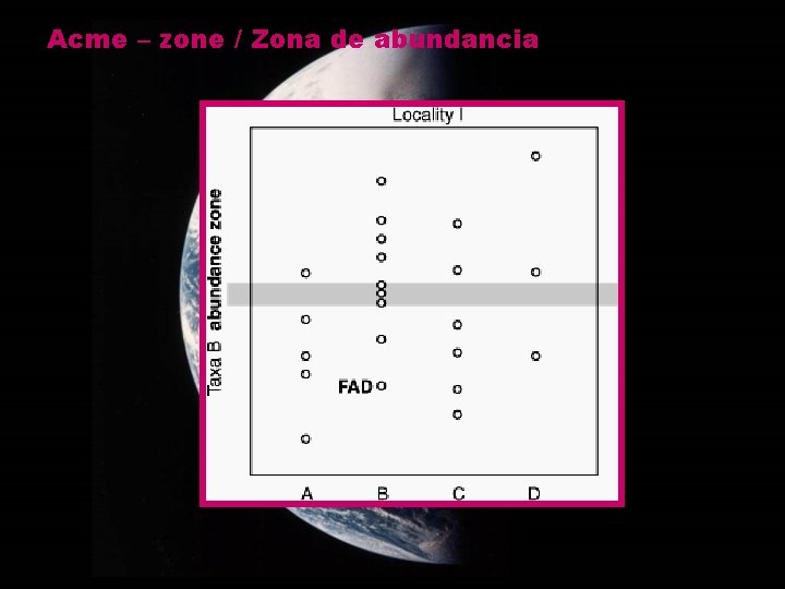 Acme – zone / Zona de abundancia 