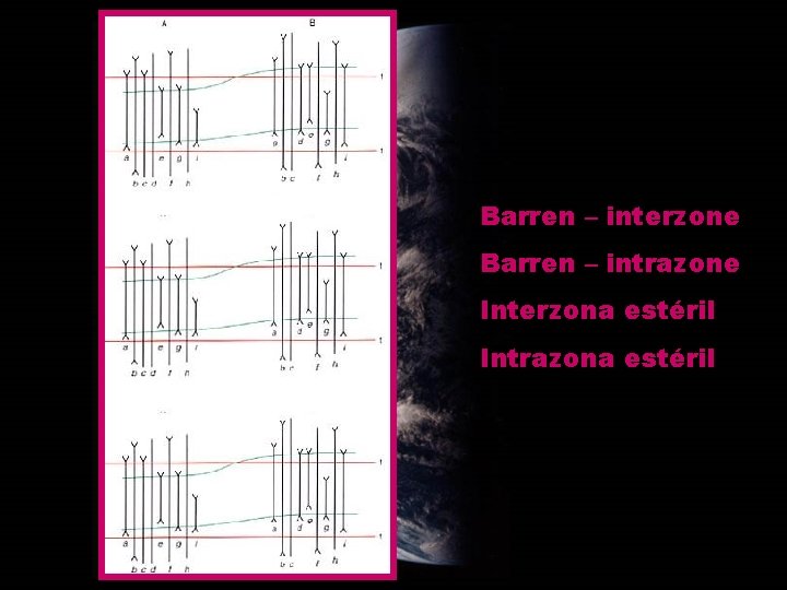 Barren – interzone Barren – intrazone Interzona estéril Intrazona estéril 