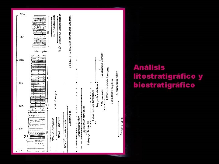 Análisis litostratigráfico y biostratigráfico 