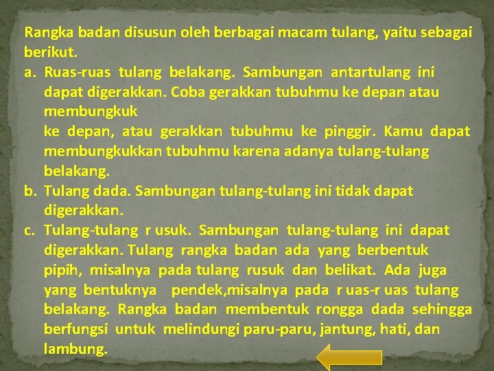 Rangka badan disusun oleh berbagai macam tulang, yaitu sebagai berikut. a. Ruas-ruas tulang belakang.