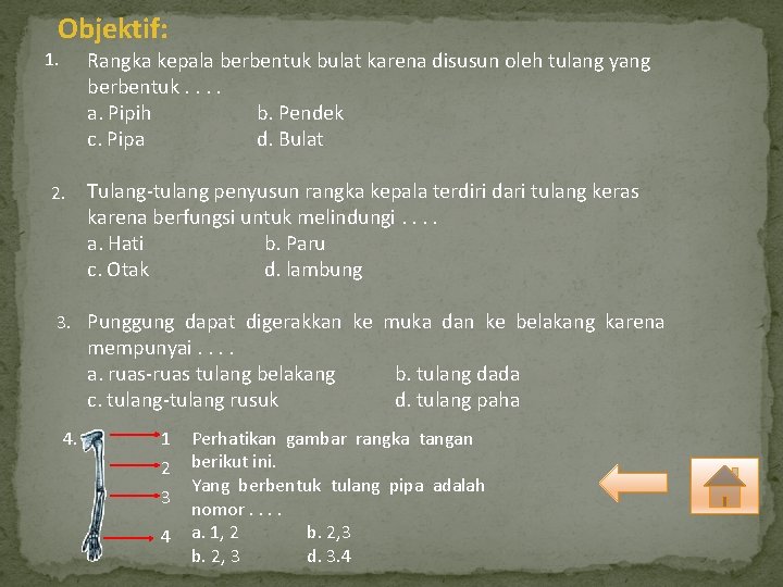 Objektif: Rangka kepala berbentuk bulat karena disusun oleh tulang yang berbentuk. . a. Pipih