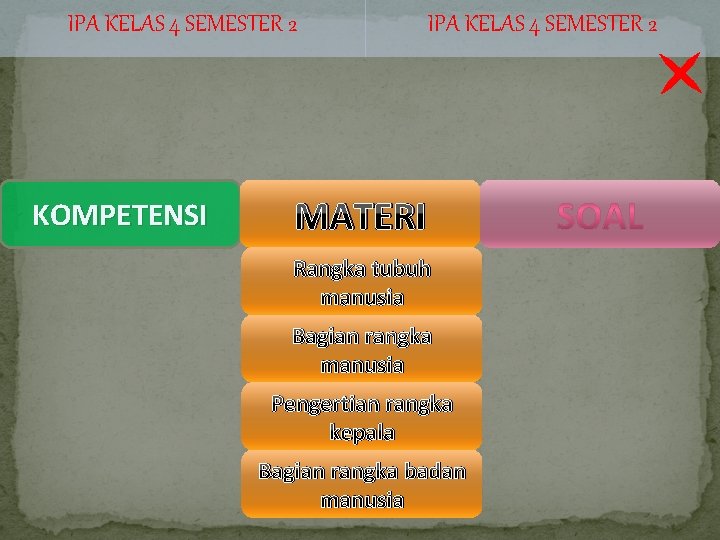 IPA KELAS 4 SEMESTER 2 KOMPETENSI IPA KELAS 4 SEMESTER 2 MATERI Rangka tubuh