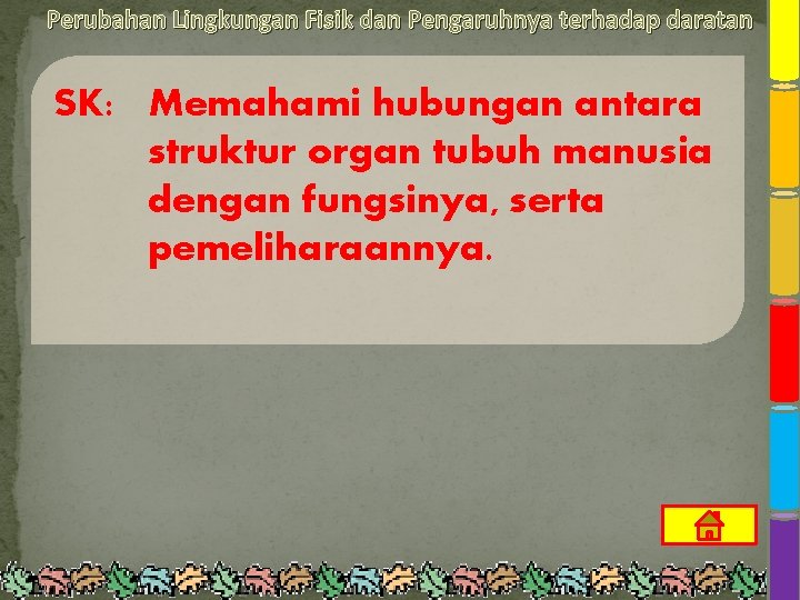 Perubahan Lingkungan Fisik dan Pengaruhnya terhadap daratan SK: Memahami hubungan antara struktur organ tubuh