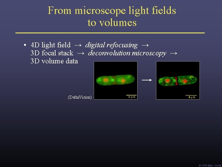 From microscope light fields to volumes • 4 D light field → digital refocusing From microscope light fields to volumes • 4 D light field → digital refocusing