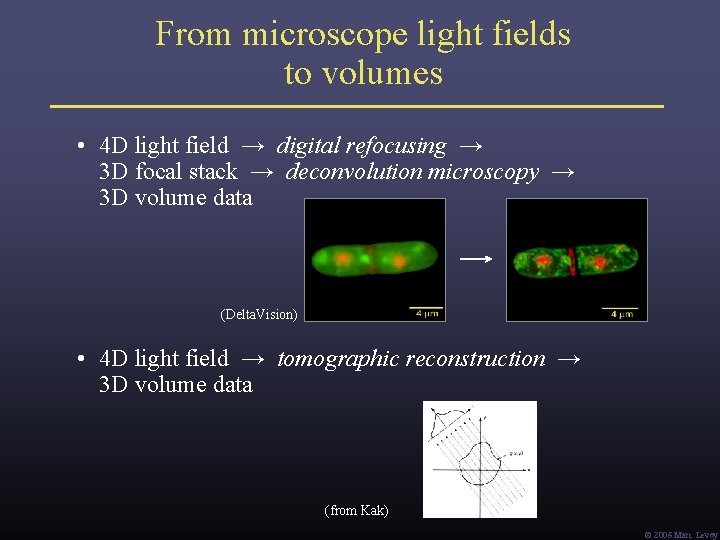 From microscope light fields to volumes • 4 D light field → digital refocusing From microscope light fields to volumes • 4 D light field → digital refocusing
