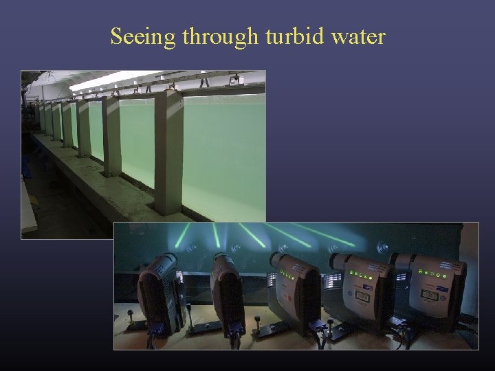Seeing through turbid water Seeing through turbid water