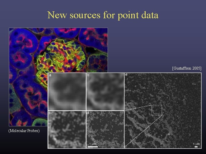 New sources for point data [Gustaffson 2005] (Molecular Probes) 