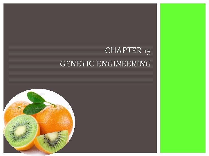 CHAPTER 15 GENETIC ENGINEERING 