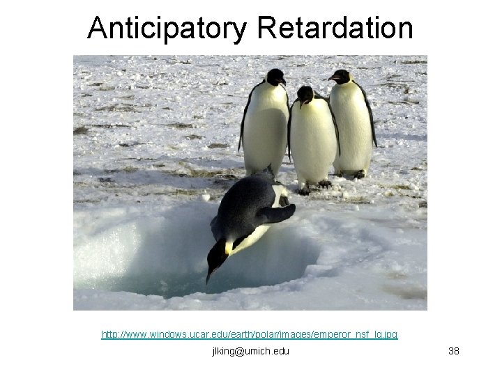 Anticipatory Retardation http: //www. windows. ucar. edu/earth/polar/images/emperor_nsf_lg. jpg jlking@umich. edu 38 