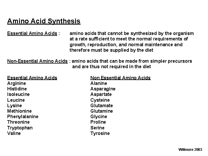 Amino Acid Synthesis Essential Amino Acids : amino acids that cannot be synthesized by