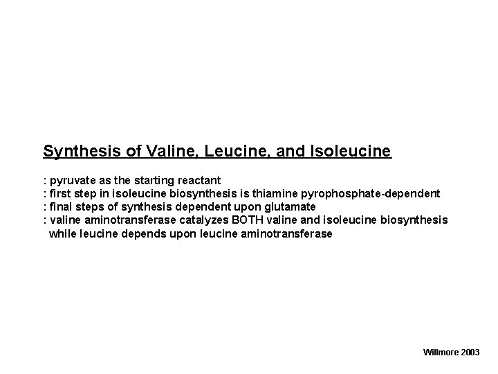 Synthesis of Valine, Leucine, and Isoleucine : pyruvate as the starting reactant : first