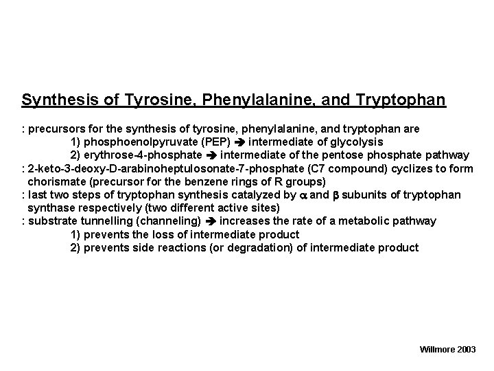 Synthesis of Tyrosine, Phenylalanine, and Tryptophan : precursors for the synthesis of tyrosine, phenylalanine,