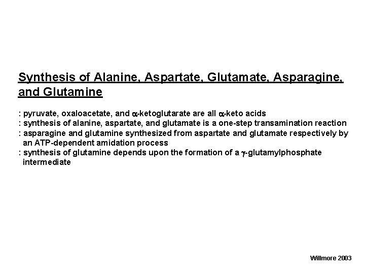 Synthesis of Alanine, Aspartate, Glutamate, Asparagine, and Glutamine : pyruvate, oxaloacetate, and a-ketoglutarate are