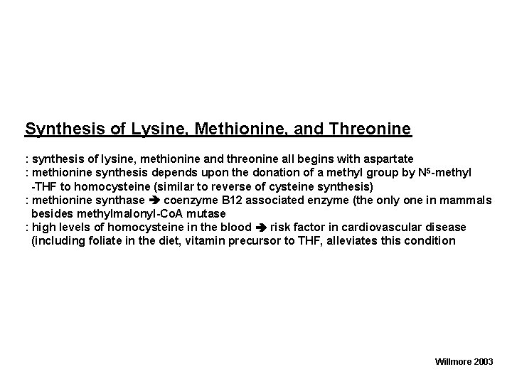 Synthesis of Lysine, Methionine, and Threonine : synthesis of lysine, methionine and threonine all