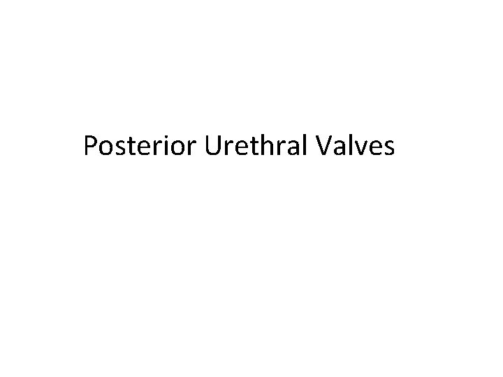 Posterior Urethral Valves 