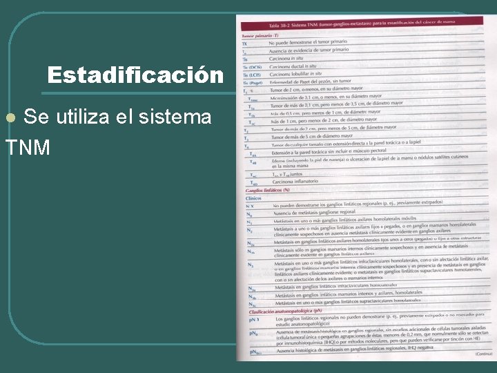 Estadificación Se utiliza el sistema TNM l 