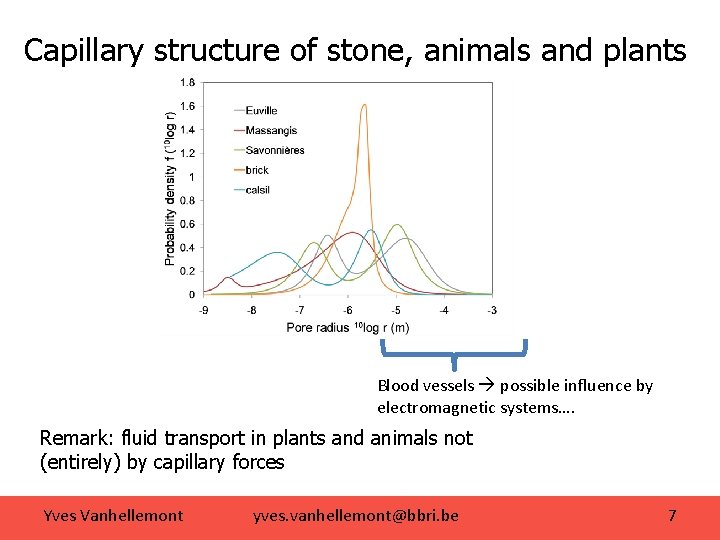 Capillary structure of stone, animals and plants Blood vessels possible influence by electromagnetic systems….