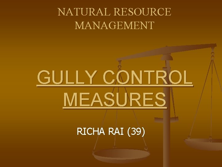 NATURAL RESOURCE MANAGEMENT GULLY CONTROL MEASURES RICHA RAI (39) 